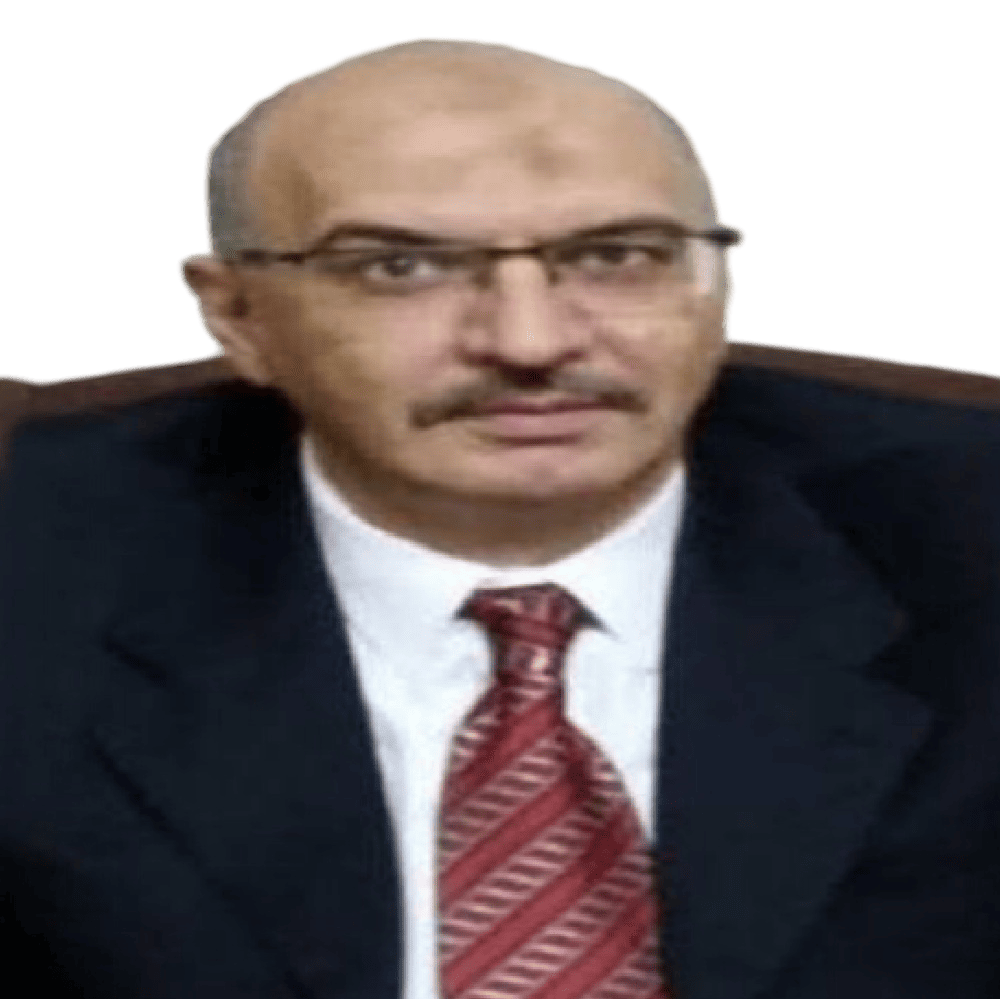 Tamer Abdulaziz