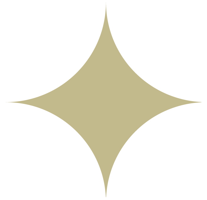 star icon